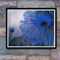 Blue Lotus Cross Stitch Kit