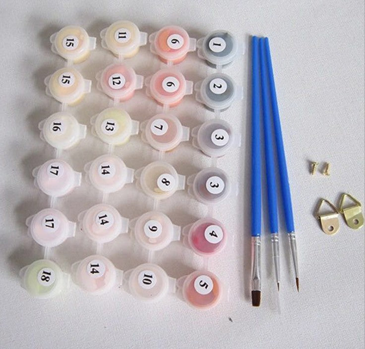 Magical Dancer Paint by Numbers Kit